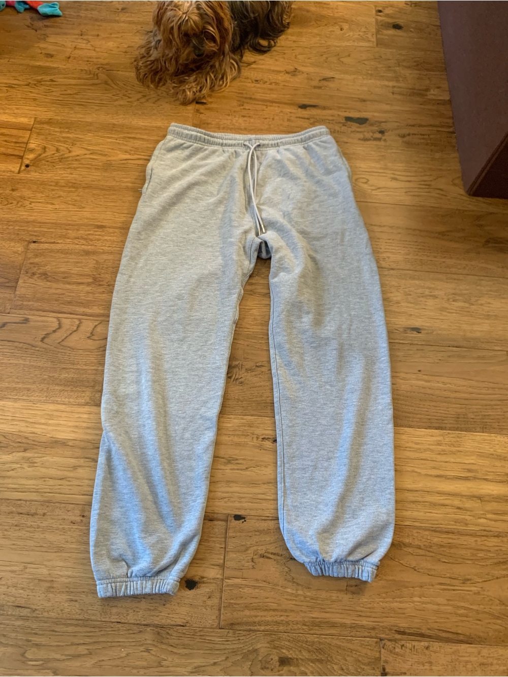 Women’s ALO  Gray Drawstring Sweatpants